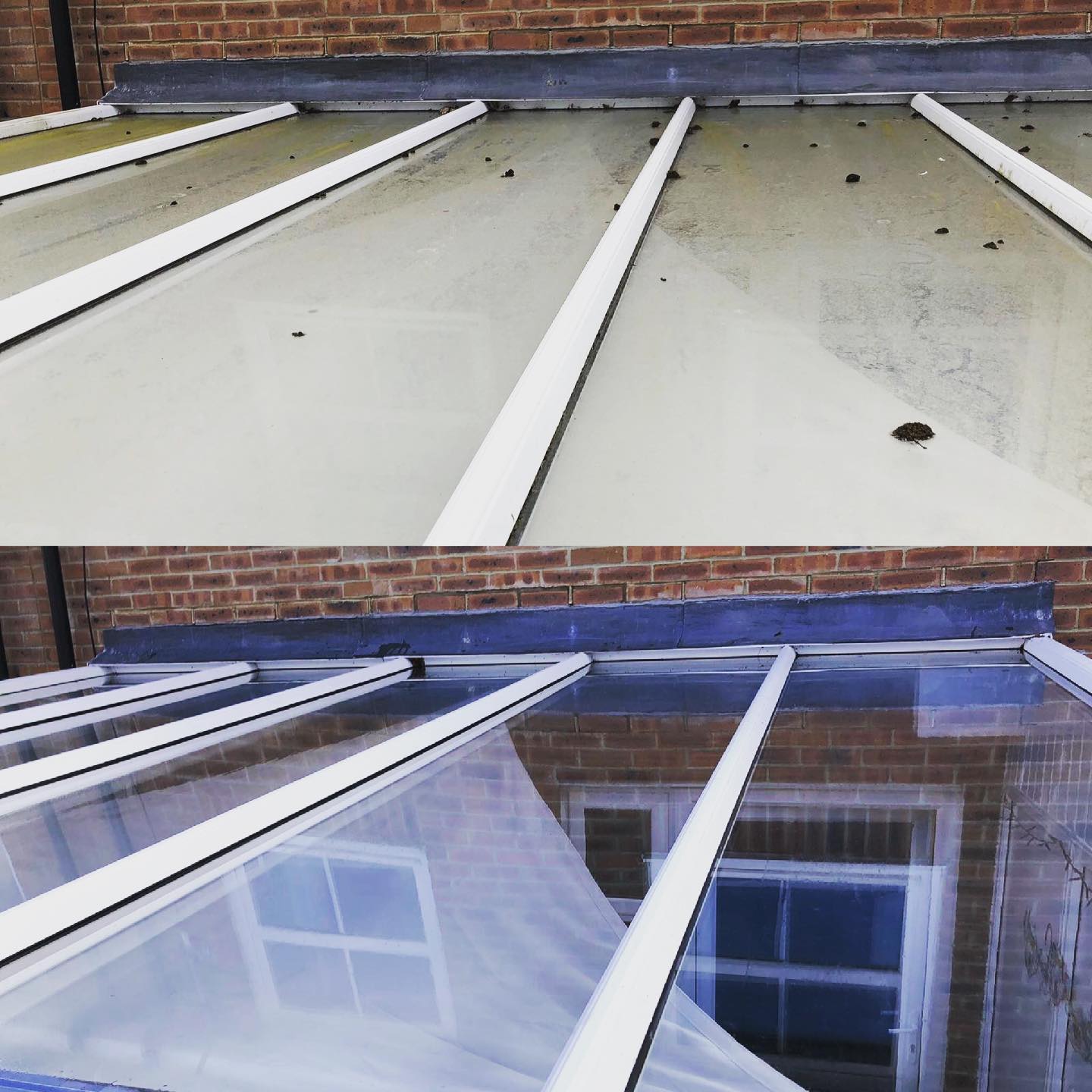 Conservatory roof covered in green grime and debris, then cleaned to clear glass