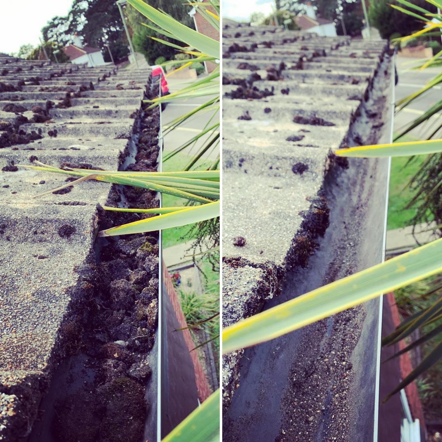 Gutter packed with moss and debris, then emptied and clean